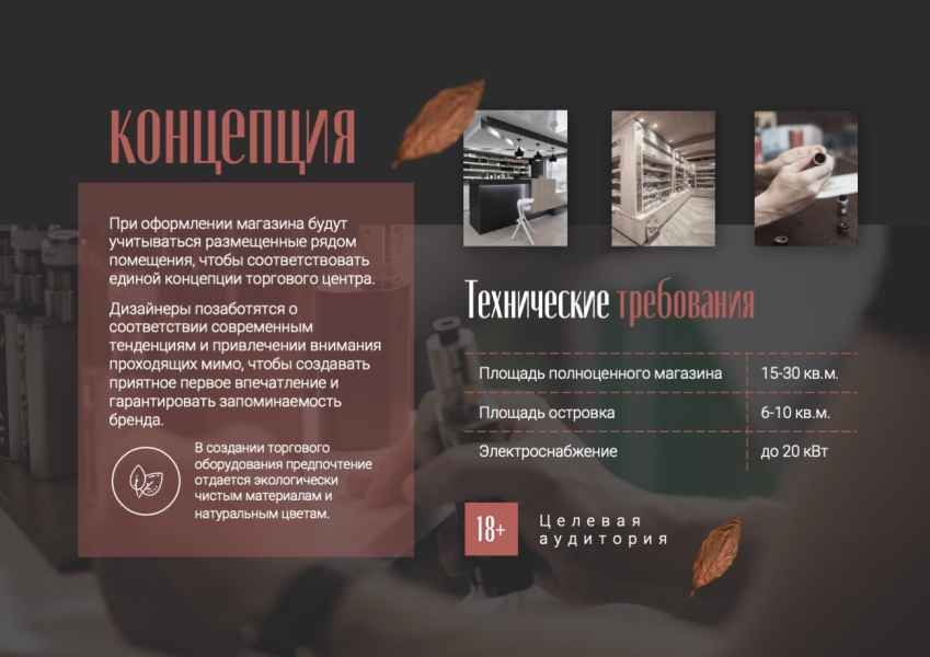 Презентация Синекура. Концепция