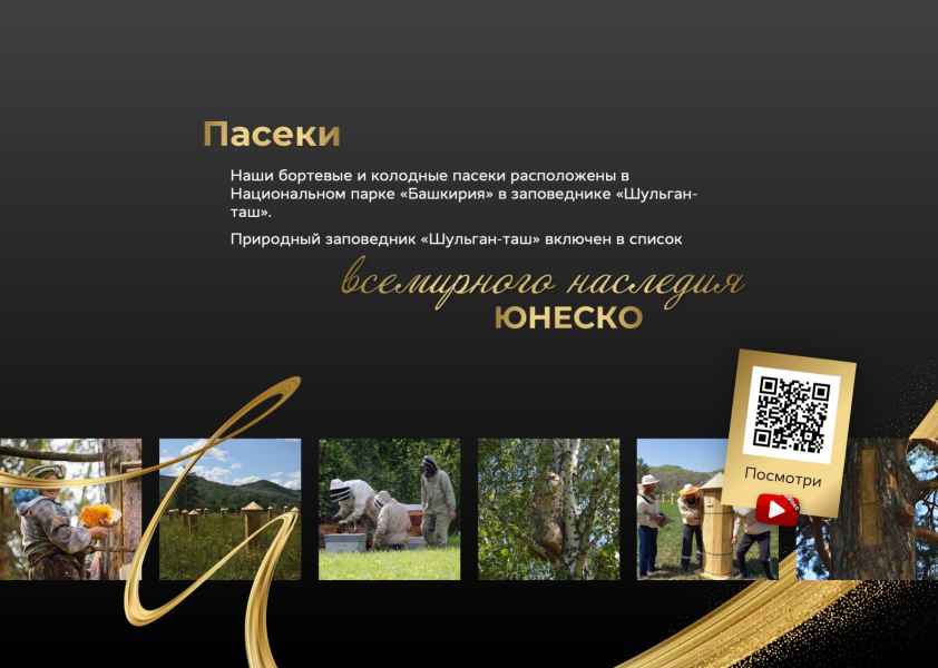 Презентация дикого мёда. Пасеки