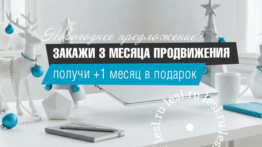 Новогоднее предложение по продвижению сайта